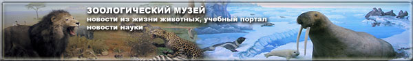 Новости о животных, учебный портал, новости науки на сайте зоологического музея Новости о животных, учебный портал, новости науки на сайте зоологического музея