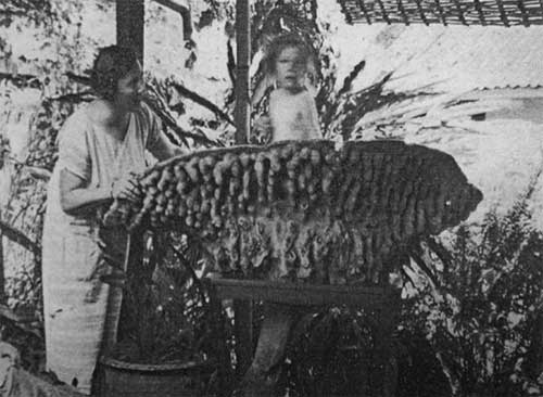 Использование кубка Нептуна в качестве детской ванночки. Фото 1925 года